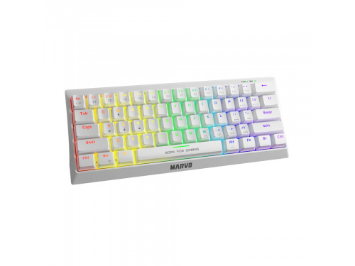 MARVO Scorpion KG962 WHITE 60% Mechanical Gaming Keyboard - 61 Keys - USB - Water Resistant Raindow Backlight - BLUE Switch - Anti Ghosting MODEL : KG962WH EN-B