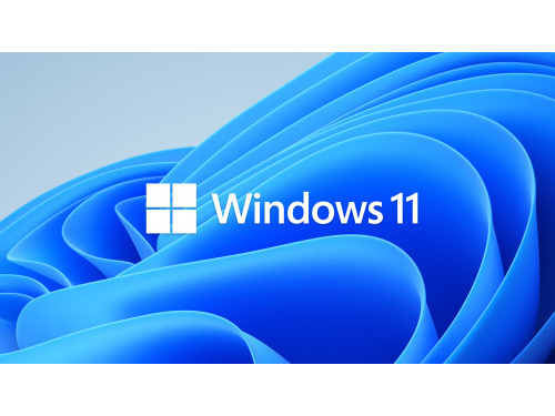 Windows 11 Pro 64bit OEM DVD Microsoft OEM Terms and conditions apply